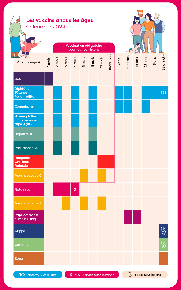 calendrier vaccinal 2024